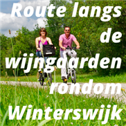 Route langs de wijngaarden rondom Winterswijk