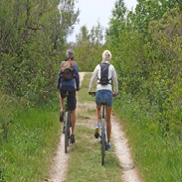 Snelfietsroutes in Nederland